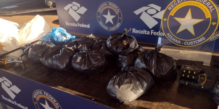 Homem é preso na Ponte da Amizade transportando 27 kg de cabelo humano em fundo falso no veículo