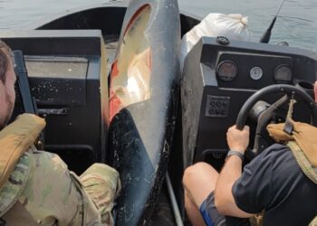 PF encontra 10 kg capulho de maconha e barco abandonado no Rio Paraná