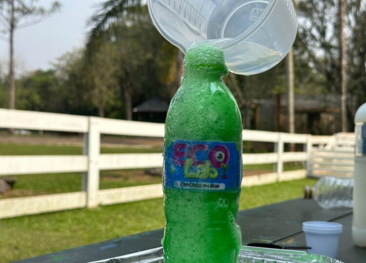 Dia das Crianças: Eco Park convida as crianças para viver um dia de cientista da natureza