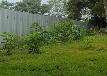 Prefeitura lança novo edital para construir Escola Lúcia Marlene em Foz do Iguaçu