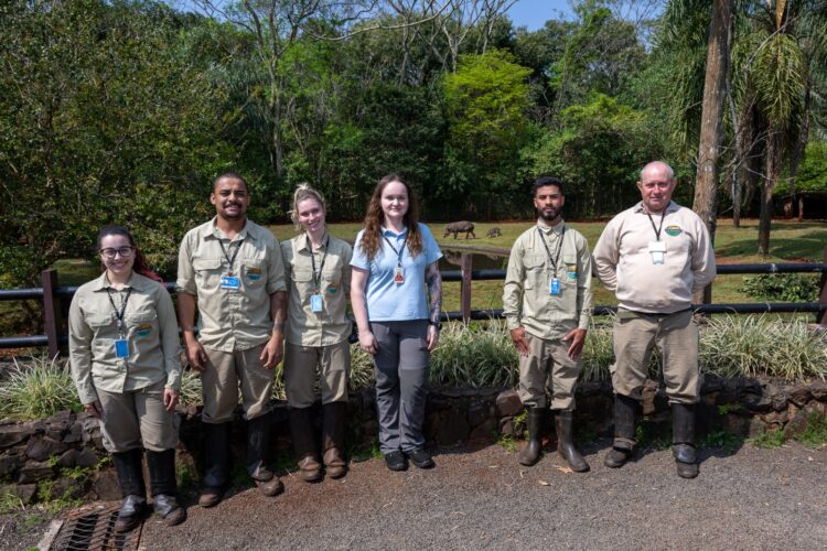 Itaipu faz registro inédito de imagens de nascimento de anta no RBV
