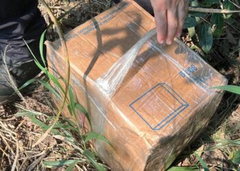 Forças de segurança apreendem 55kg de cocaína e crack na Ponte da Amizade