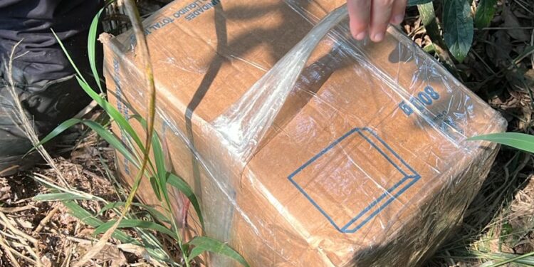 Forças de segurança apreendem 55kg de cocaína e crack na Ponte da Amizade