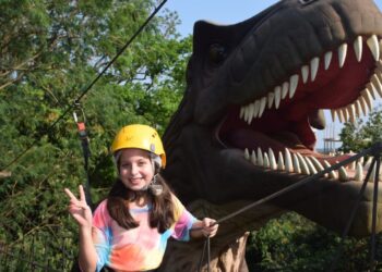 Complexo Dreams prepara grande festa para o Dia das Crianças