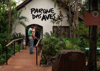 Parque das Aves vai comemorar o Dia das Crianças com muita diversão