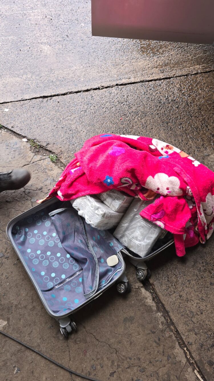 Após cão farejador identificar maconha na bagagem, passageira é presa na rodoviária de Foz