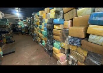 Polícia apreende 11 toneladas de maconha às margens do Lago de Itaipu