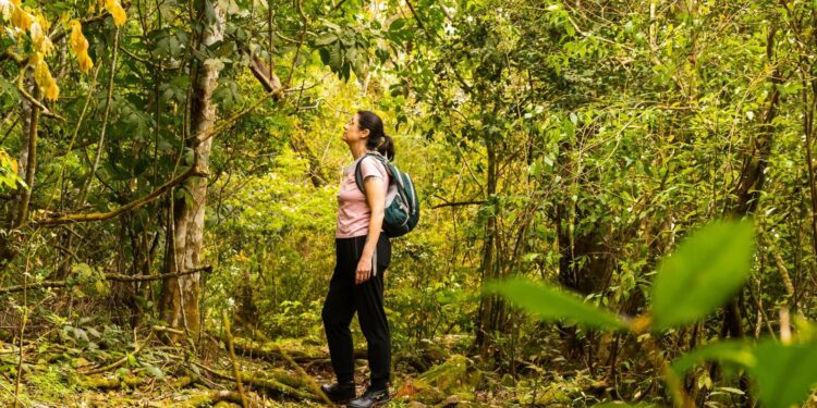 Conheça a Ytepopo: Parque Nacional do Iguaçu lançará trilha às margens do Rio Iguaçu