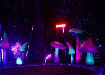 Lumina Park encanta e recebe 97% de aprovação dos visitantes durante a pré-estreia