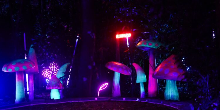 Lumina Park encanta e recebe 97% de aprovação dos visitantes durante a pré-estreia