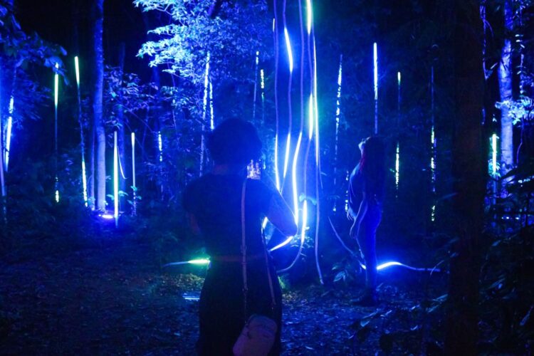 Lumina Park encanta e recebe 97% de aprovação dos visitantes durante a pré-estreia