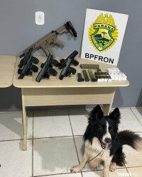 Mulher é presa em flagrante transportando seis armas de fogo em ônibus