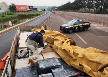 PRF apreende caminhão com 50 mil cigarros eletrônicos; o motorista foi preso em flagrante