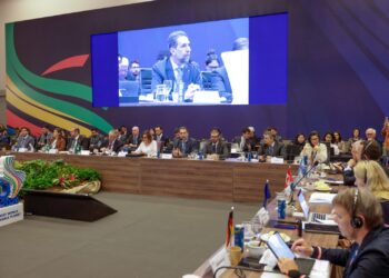 Diretor-geral de Itaipu discursa na reunião ministerial do G20