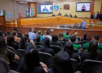 Projeto de Lei sobre crematórios recebe novas emendas aditivas