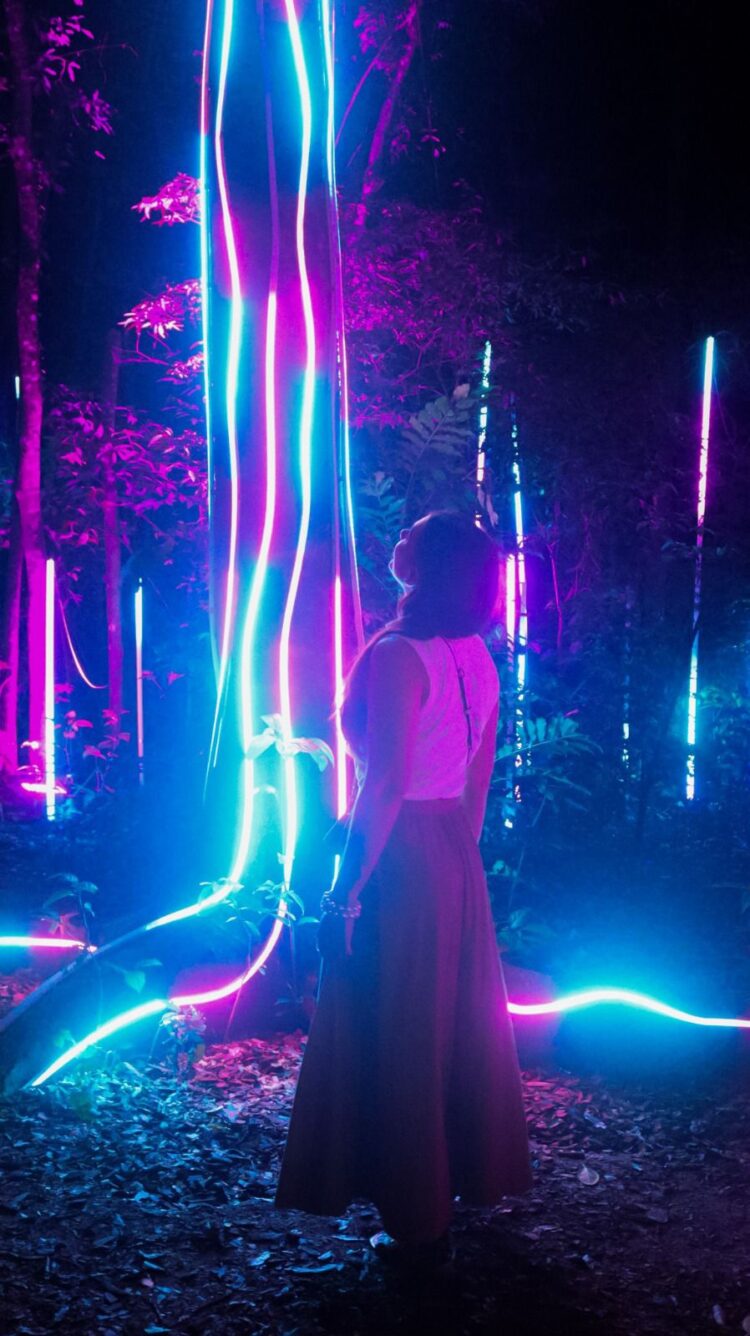 Lumina Park encanta visitantes com floresta de luzes e fantasia
