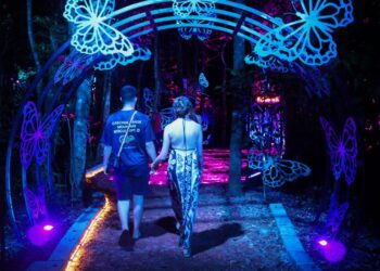 Lumina Park encanta visitantes com floresta de luzes e fantasia