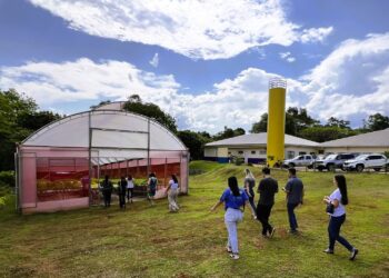 Entidade lança roteiros turísticos conduzidos por jovens da comunidade