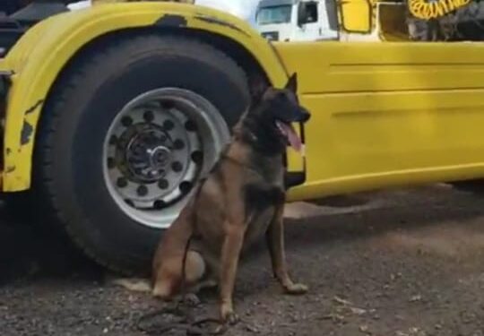 Caminhão interceptado pela PRF em Céu Azul escondia 94 kg de cocaína dentro de eixos