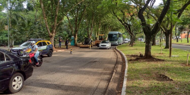 Boletim da prefeitura atualiza andamento das obras na Avenida Paraná