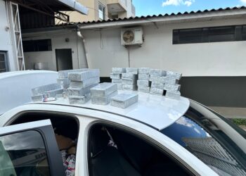 Receita Federal apreende mais de 1.700 frascos de anabolizantes em Santa Tereza do Oeste