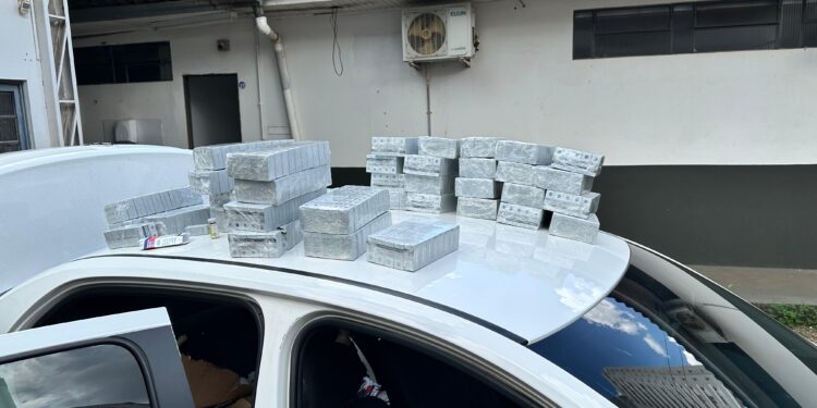 Receita Federal apreende mais de 1.700 frascos de anabolizantes em Santa Tereza do Oeste
