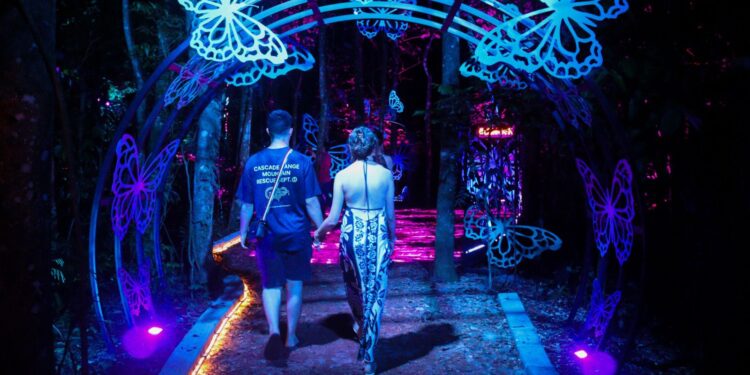 Crescimento do Wonder Park impulsiona expansão do Lumina Park, investimentos no Show das Águas e Réveillon mágico