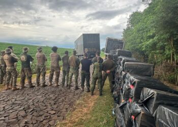 Após monitorar movimentação em área do lago, PF apreende 700 caixas de cigarros em Itaipulândia