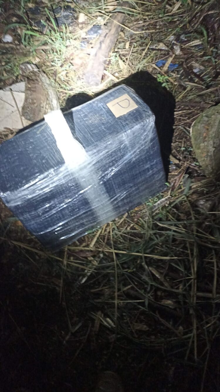 Anabolizantes e celulares, jogados do alto da Ponte da Amizade, são apreendidos na fronteira