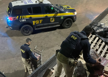 Caixas de ovos escondiam quase 400 quilos de maconha