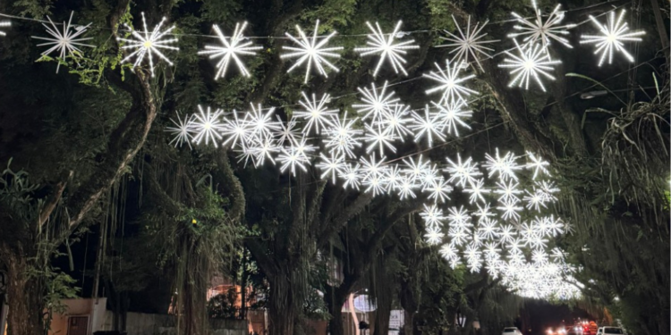 “Rua mais bonita da cidade”, Avenida Pedro Basso será iluminada para Natal