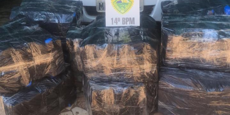 Polícia Militar apreende mais de meia tonelada de maconha no Cidade Nova