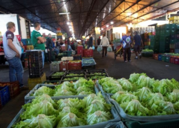 Confira como será o atendimento na Ceasa de Foz do Iguaçu para o Natal e Ano Novo