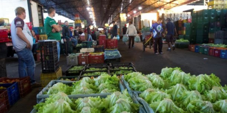 Confira como será o atendimento na Ceasa de Foz do Iguaçu para o Natal e Ano Novo
