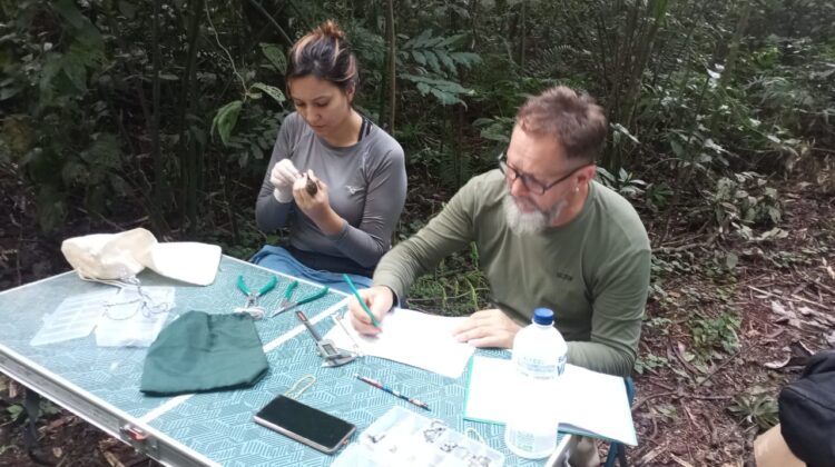 Itaipu e Itaipu Parquetec promovem inventário de aves