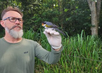 Itaipu e Itaipu Parquetec promovem inventário de aves