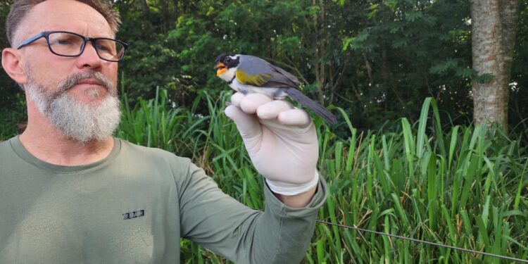 Itaipu e Itaipu Parquetec promovem inventário de aves