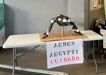 Conheça as entidades vencedoras da campanha da Itaipu contra a dengue, em Foz do Iguaçu