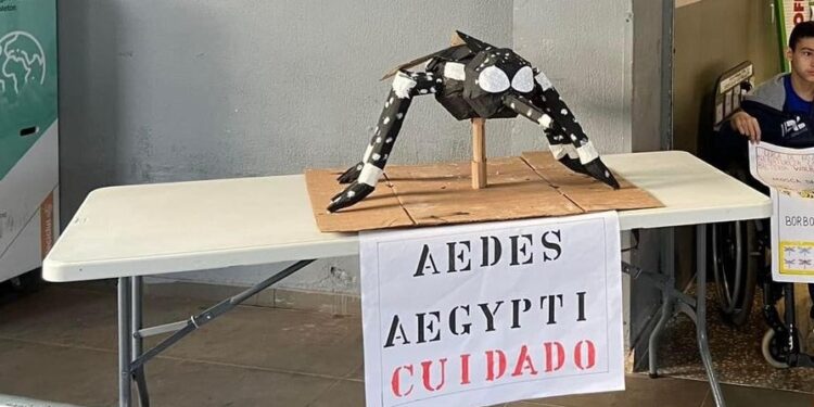 Conheça as entidades vencedoras da campanha da Itaipu contra a dengue, em Foz do Iguaçu