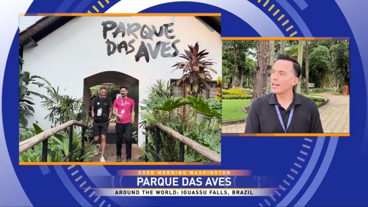 Visit Iguassu encerra 2024 com crescimento e resultados históricos na promoção do Destino Iguaçu
