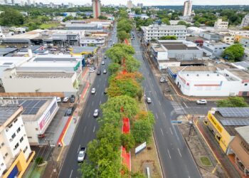 Avenida JK recebe primeira fase do projeto de revitalização