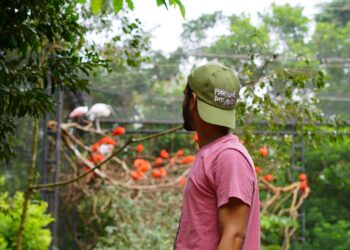 Parque das Aves fecha o ano comemorando crescimento de visitantes