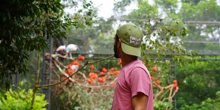 Parque das Aves fecha o ano comemorando crescimento de visitantes