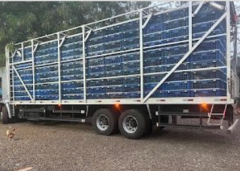 Polícia Federal apreende carga com 5 mil frangos sem a Guia de Trânsito Animal