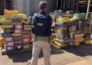 Balanço de apreensões de drogas pela PRF mostra que a metade aconteceu na fronteira