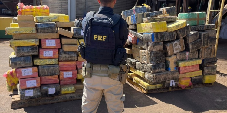 Balanço de apreensões de drogas pela PRF mostra que a metade aconteceu na fronteira