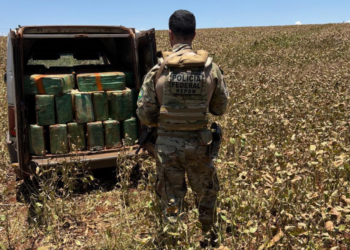 Após fuga de motorista, PF encontra quase 1 tonelada de maconha no veículo em Santa Helena