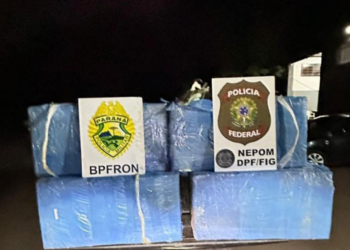 PF e BPFron apreendem carga de baterias de celulares avaliada em R$ 346 mil