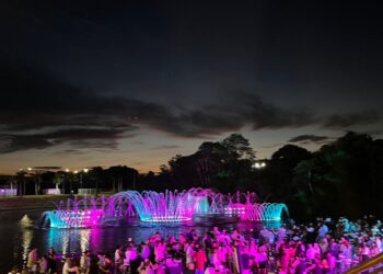 Wonder Park registra crescimento recorde em dezembro de 2024