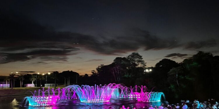 Wonder Park registra crescimento recorde em dezembro de 2024